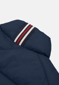 Fila CASALROSSO REGULAR - Winterjacke - Black Iris -Fila Verkaufe 3ebb42f6b91a4b89b7cac5510c155bc7