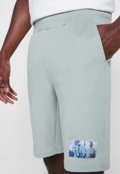 Fila CLEMSON - Shorts - Iceberg Green -Fila Verkaufe 3fbe73cb2fdd4c34bfc57fc52c65ee7c