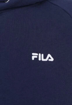 Fila APPAREL BRAIVES RAGLAN - Kapuzenpullover - Medieval Blue -Fila Verkaufe 6504972da0be4d788c20d261e0807a7c
