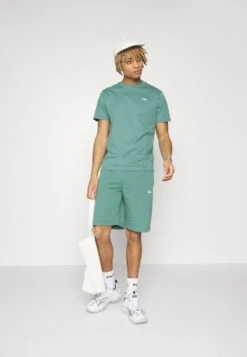 Fila BERLOZ TEE - T-Shirt Basic - Blue Spruce 11 Fila BERLOZ TEE - T-Shirt Basic - Blue Spruce -Fila Verkaufe 652e75a07d5e4eb19d64f1282c69f165