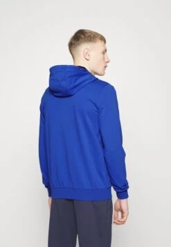 Fila ROBIN - Sweatjacke - Dazzling Blue -Fila Verkaufe 6c2cc33f2eed42bbb2177a42b5773688