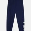 Fila SONGE CLASSIC LOGO PANTS UNISEX - Jogginghose - Medieval Blue -Fila Verkaufe bdf9c5c173bf409ca89b220e5f7b24bb 2