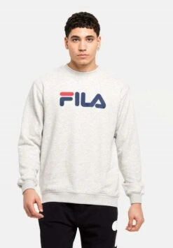 Fila BARBIAN - Sweatshirt - Grau
