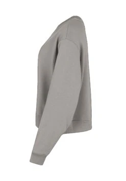 Fila BANSKO CROPPED - Sweatshirt - Grau -Fila Verkaufe f1962f48781546f9b90bbe41e37a3bea